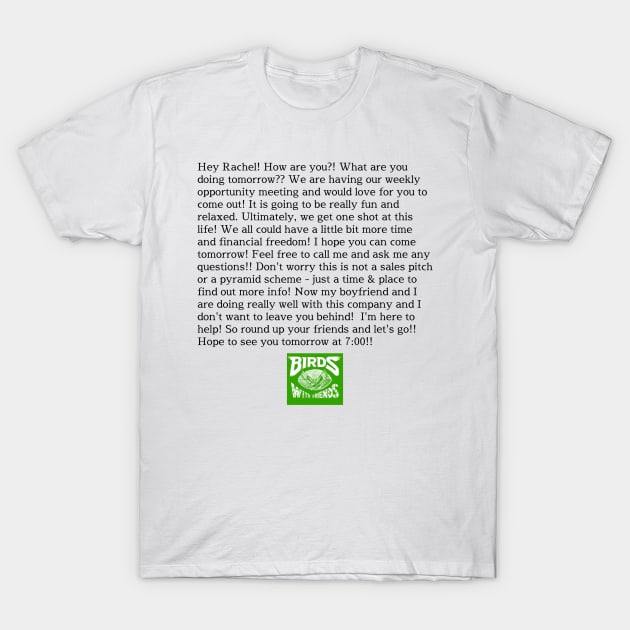 This is not a pyramid scheme (dark text) T-Shirt by Birds With Friends